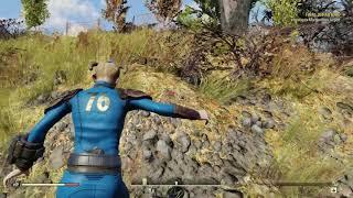 Fallout 76 Get Scout Life Magazine