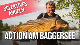 Große Fische selektieren | Karpfenangeln am stark beangelten Vereinsgewässer | Wurfangeln