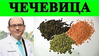 Какая Чечевица Самая Полезная? - Доктор Майкл Грегер