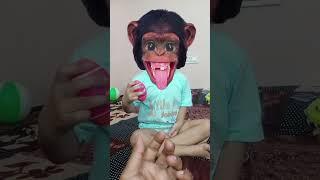 monkey  #shorts #jems #viral #ishika baby vlogs