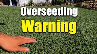 Winter Rye Overseeding on Warm Season Lawns