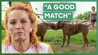 Tia Finds A Home For A Dog That Has Been Rejected Twice Before | Pit Bulls & Parolees