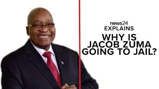 WATCH | Why is Jacob Zuma going to jail? News24 explains