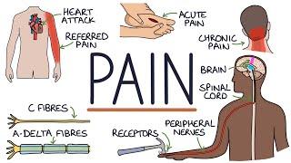 Understanding The Causes of Pain and Pain Management