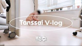 5분 만에 끝내는 백수 브이로그 | 일상