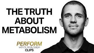 The Truth About Boosting Metabolism & Fat Loss | Dr. Andy Galpin