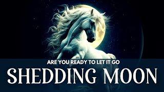  SCORPIO FULL MOON Meditation 2025 SHEDDING Ceremony to Release, Recharge & Awaken Intuition