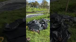 Cheshire Allotment Diary Ep1 - Preparing for Winter - October 2023 Progress