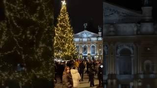 Christmas tree in Lviv #lvivcitywalk #lviv #lvivukraine #streetphotography #львів #ukraine