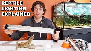 Reptile Lighting Explained and One HUGE Mistake You Need To Avoid