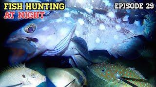 NIGHT SPEARFISHING EPISODE 29 | FISH HUNTING AT NIGHT