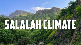 Salalah | Natural Beauty | Cool Climate |  Oman Kerala #travel #salalah #climate #khareef #explore