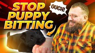 STOP PUPPY BITING NOW! Easy Training To Stop Puppy Biting