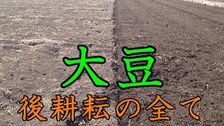 【2023】大豆後の二回目耕耘。横耕耘から縦耕耘へ！その効果は如何に！？