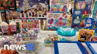 How to give the perfect gift this holiday season - Hot Holiday Toys | News 12