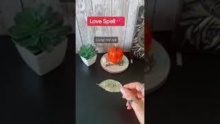 Love Spell | It Works Fast