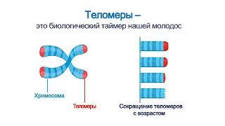 СеллГенетикс (CellGenetiX) от AGenYZ - БАД для активной регенерации клеток