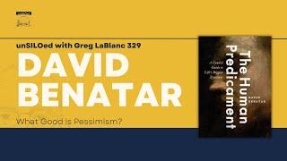 329. What Good is Pessimism? feat. David Benatar