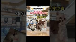 逛街遇到父亲和小三 #猫meme小剧场 #小三 #猫meme #喵不可言 #shorts #真实故事 #母子