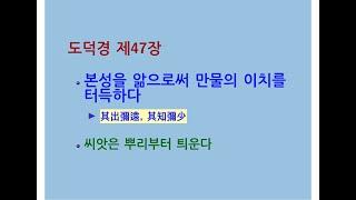 도덕경道德經 DaodeJing 선비수학자 제47장 불출호不出戶 본성을 앎으로써 만물의 이치를 터득하다 - 씨앗은 뿌리부터 틔운다 - 싹