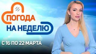 Ветер и краткие осадки! | Погода в Беларуси с 16 марта по 22 марта | Плюс-минус