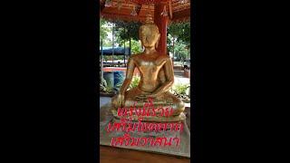 พรุ่งนี้รวย เสริมโชคลาภ วาสนาดี - เอื้ออังกูร