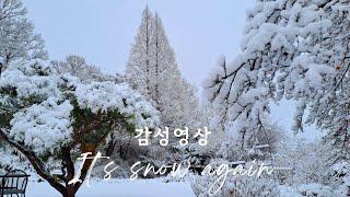 겨울눈 풍경. 힐링 영상. 휴식 음악 snow