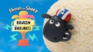 NEW  Feed Shirley  Shaun the Sheep - Brain Break  For Kids