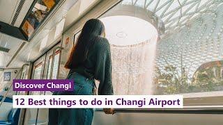 Discover Changi: 12 Best Things to do in Changi Airport