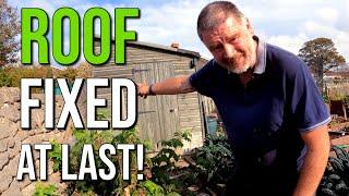 Fixed The Leaking Shed Roof | How To Fix A Leaking Shed Roof | Allotment Gardening With Tony