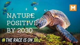 Nature-Positive by 2030: MOVE.BG Joins the Leaders' Pledge for Nature Campaign