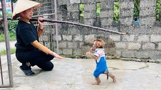 Baby monkey Tina jumped for joy when she saw her mother come home.