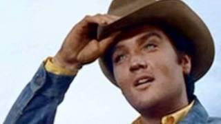 Snowbird - Elvis Presley