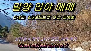 밀양 임야 2차선 도로접 몽땅2,700만  /밀양 임야 매매/산내면 임야 매매 /밀양 토지 매매/임야 매매 전문