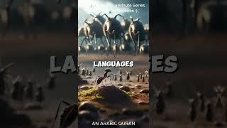 How did an ant stop an entire army! #quranstories #Solomon #ants