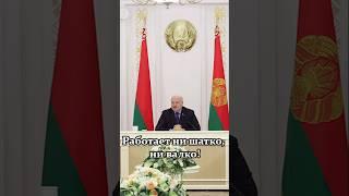 Лукашенко: Летишь над страной, бурелома, всякой гадости в лесу – страшно смотреть! #shorts
