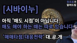 [시바이누] 이번 눌림목 자리가 기회라니까요?? / 적중률 100% 대응전략 공개 / 이렇게만 매매하세요 제발.