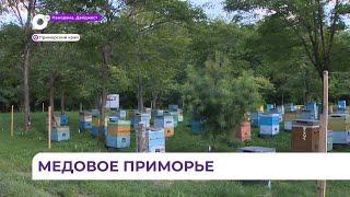 Пчеловоды Приморья готовят ульи к липовому медосбору