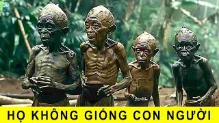 Khám phá kinh hoàng sâu trong rừng rậm Congo khiến cả thế giới khiếp sợ! | Thiên Hà TV