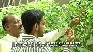 In Pakistan’s Hyderabad, storehouse hydroponic farm beats drought, land degradation