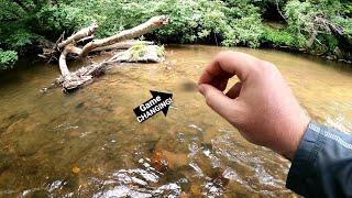 Trout Fishing with Creek Bugz? || Game changing new lure!