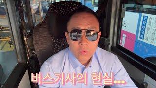 현직 버스기사가 직업으로 버스기사를 추천하는 이유 (The reality of being a bus driver)