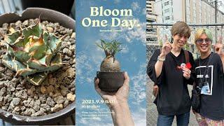 #024 【実生アガベの破壊力】アノヒノエンゲイ yosuke さんイベント Bloom One Day. に行ってきた