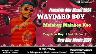 New Afar Music 2024  Waydaro Boy | Malabey Malabey Koo  #QusbaGada #FreestyleAfarMusic #WaydaroBoy