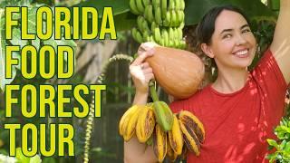 Suburban Florida Back Yard Food Forest Tour