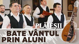 Ansamblul etnofolcloric Plăieșii - Bate vântul prin aluni  | extras CD "Partea noastră de iubire"