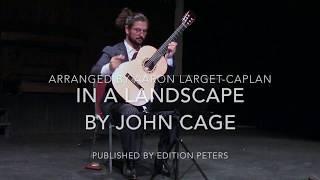 In A Landscape by John Cage, Aaron Larget-Caplan guitar