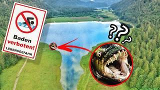 In diesem deutschen See leben Monster Fische