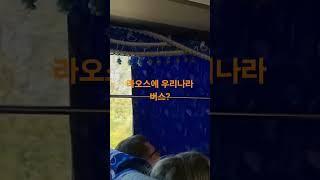 라오스에 우리나라 한국버스가?! #라오스 #라오스여행 #laos #드라이브 #방비엥