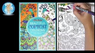 Barron's Beautiful Copycat Coloring by Cindy Wilde Book Butterfly Owl - Family Toy Report